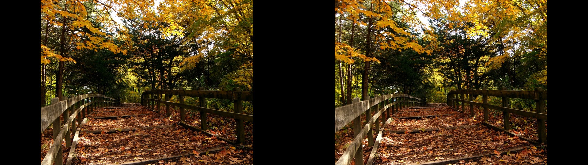 Autumn Stairway
